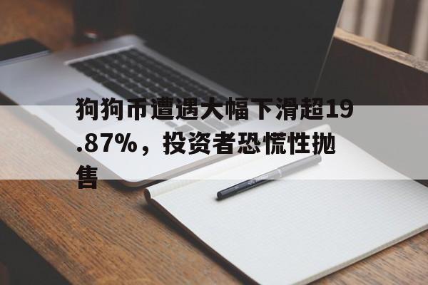 爱游戏APP-狗狗币遭遇大幅下滑超19.87%，投资者恐慌性抛售的简单介绍